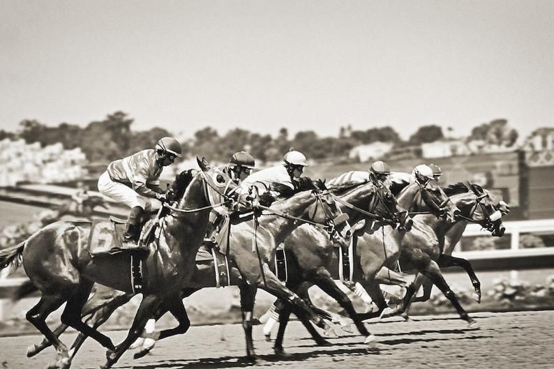 horse racing photography 0023