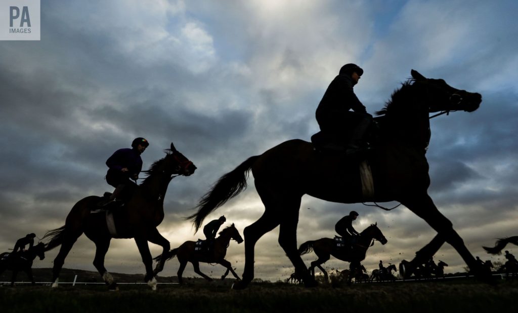 horse racing photography 0025