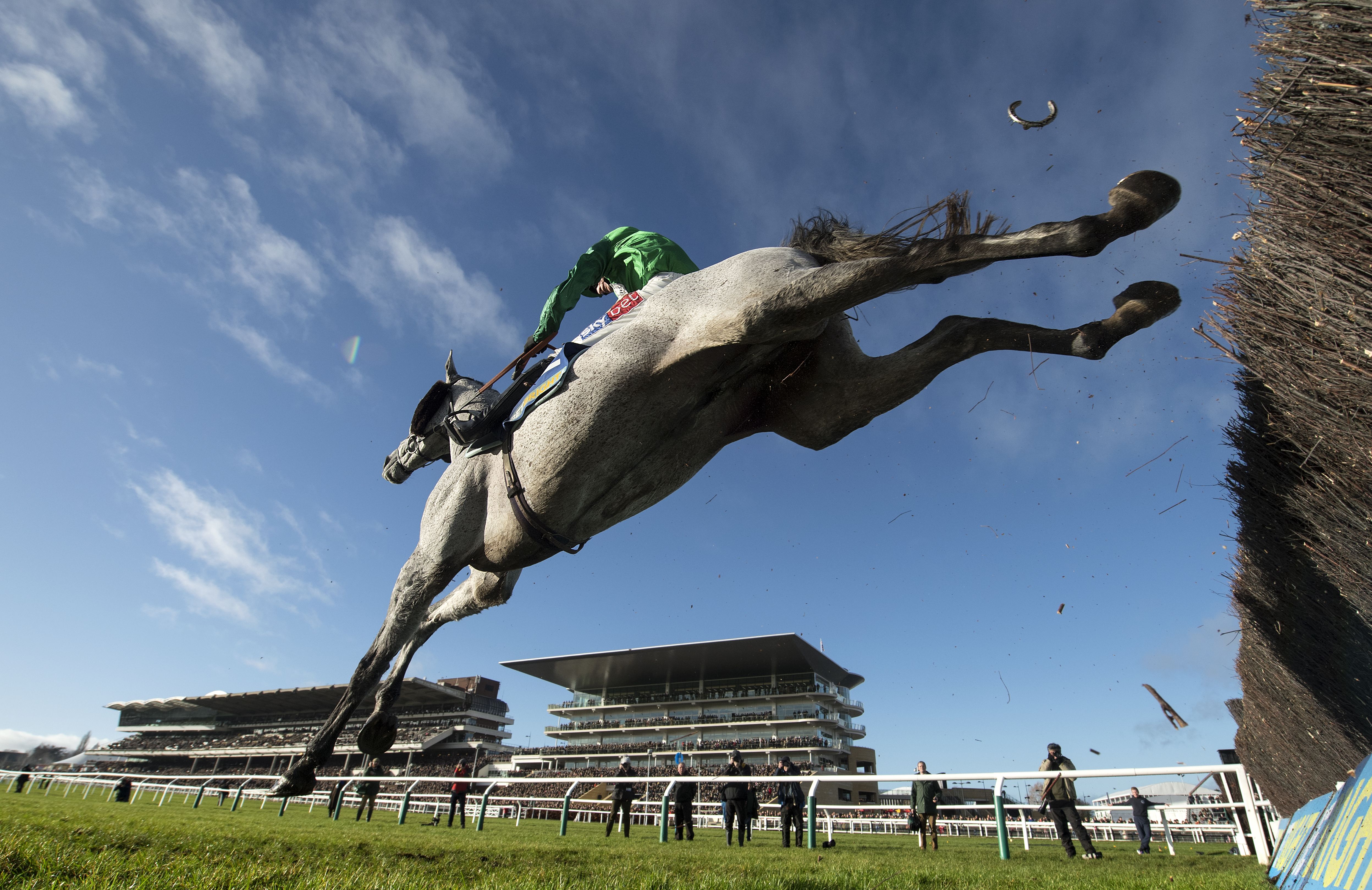 horse racing photography 0026