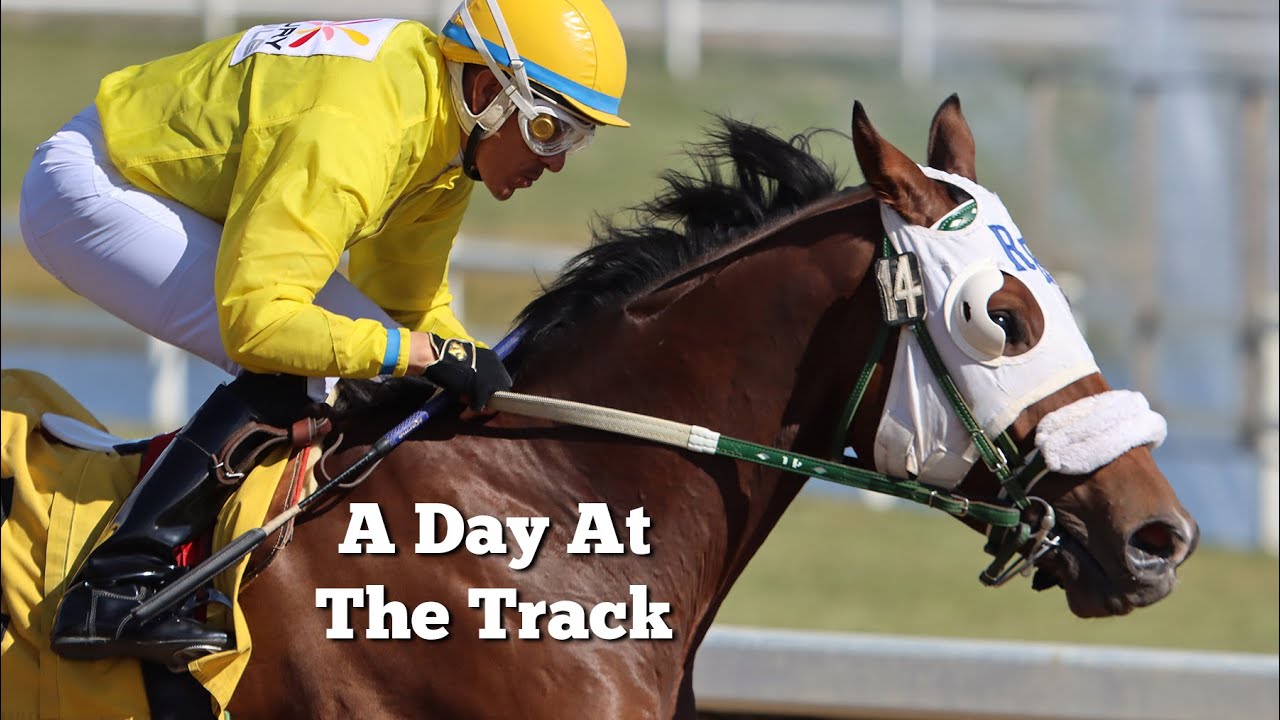 horse racing photography 0030