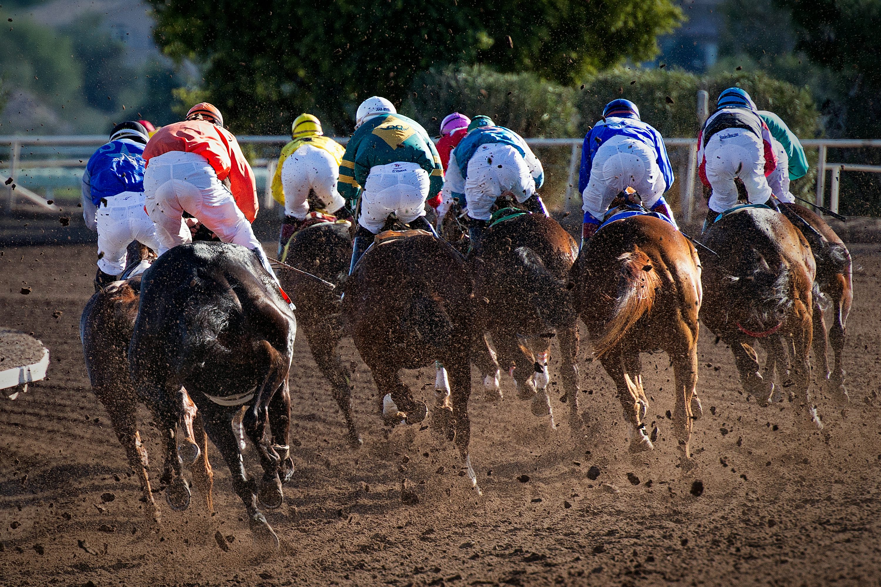 horse racing photography 0036