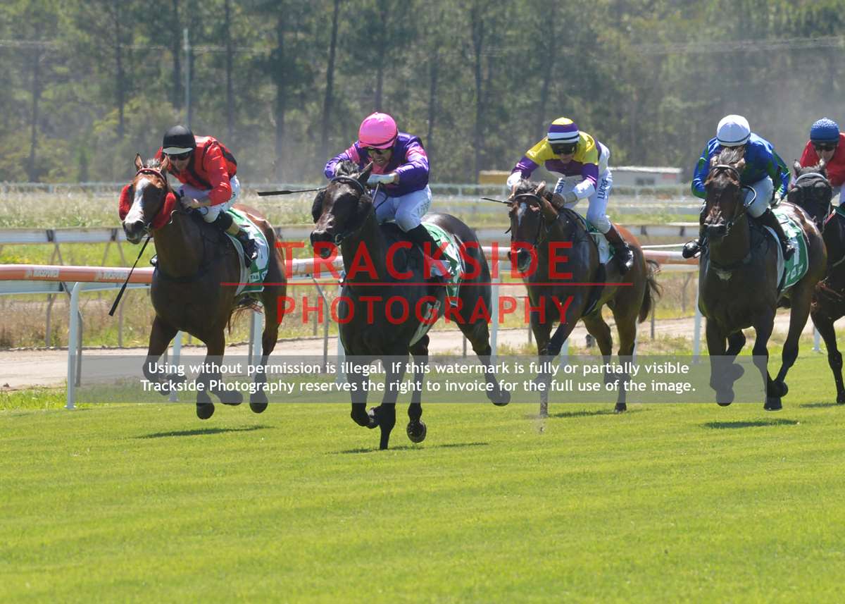 horse racing photography 0037