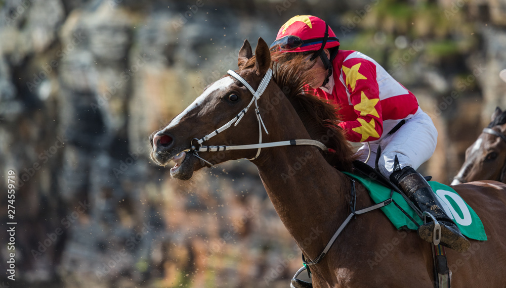 horse racing photography 0041