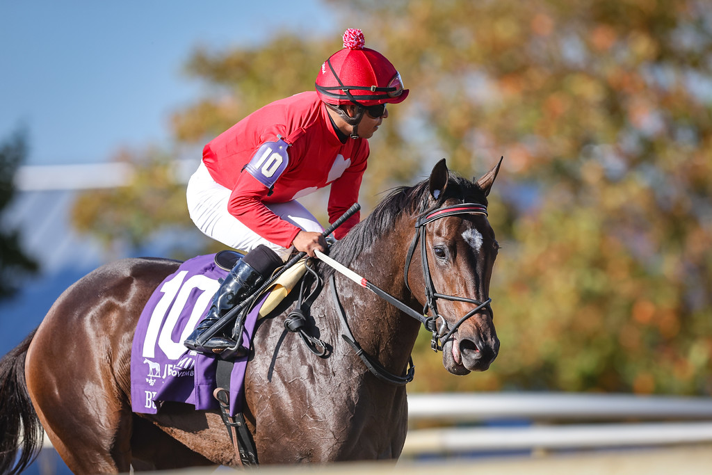 horse racing photography 0043