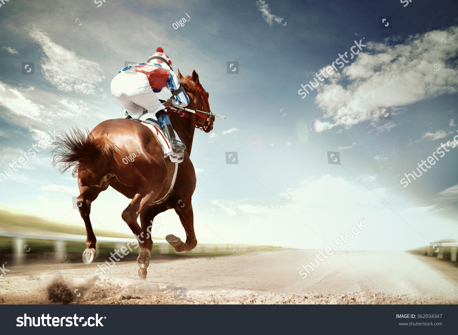 horse racing photography 0044
