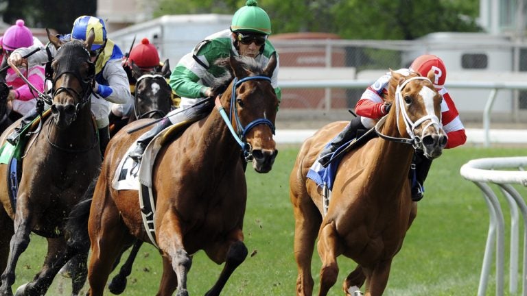 horse racing photography 0046