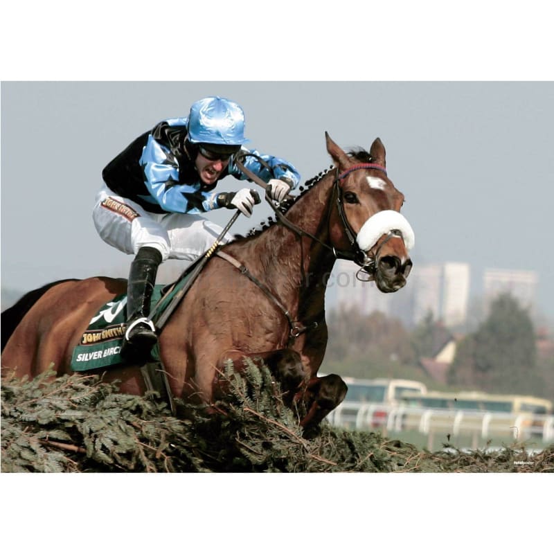 secretariat wins triple crown 0018