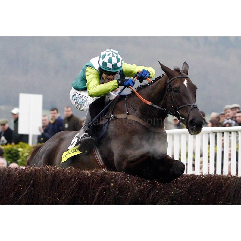 secretariat wins triple crown 0025