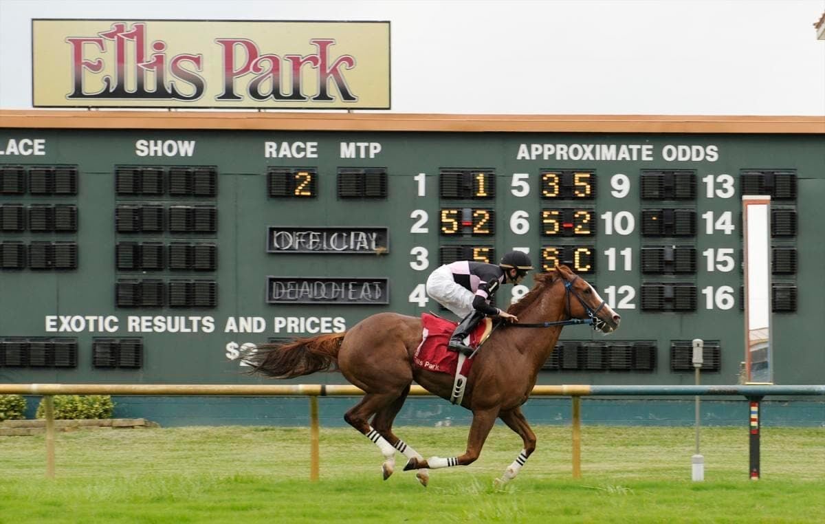 horse racing scoreboard 0014
