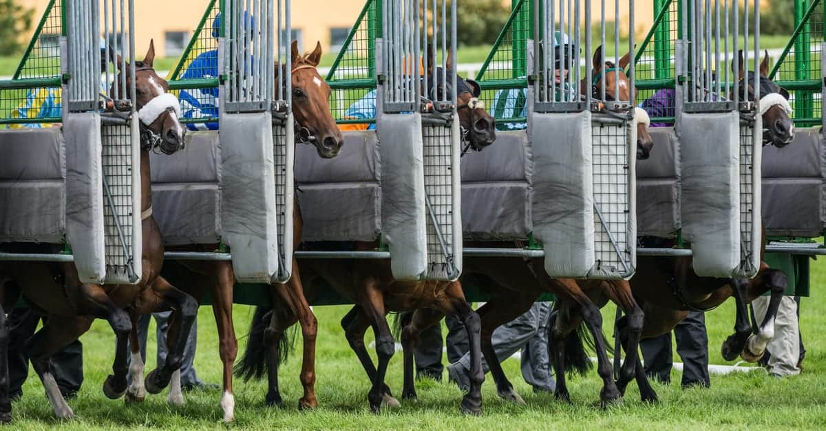 horse racing start photos