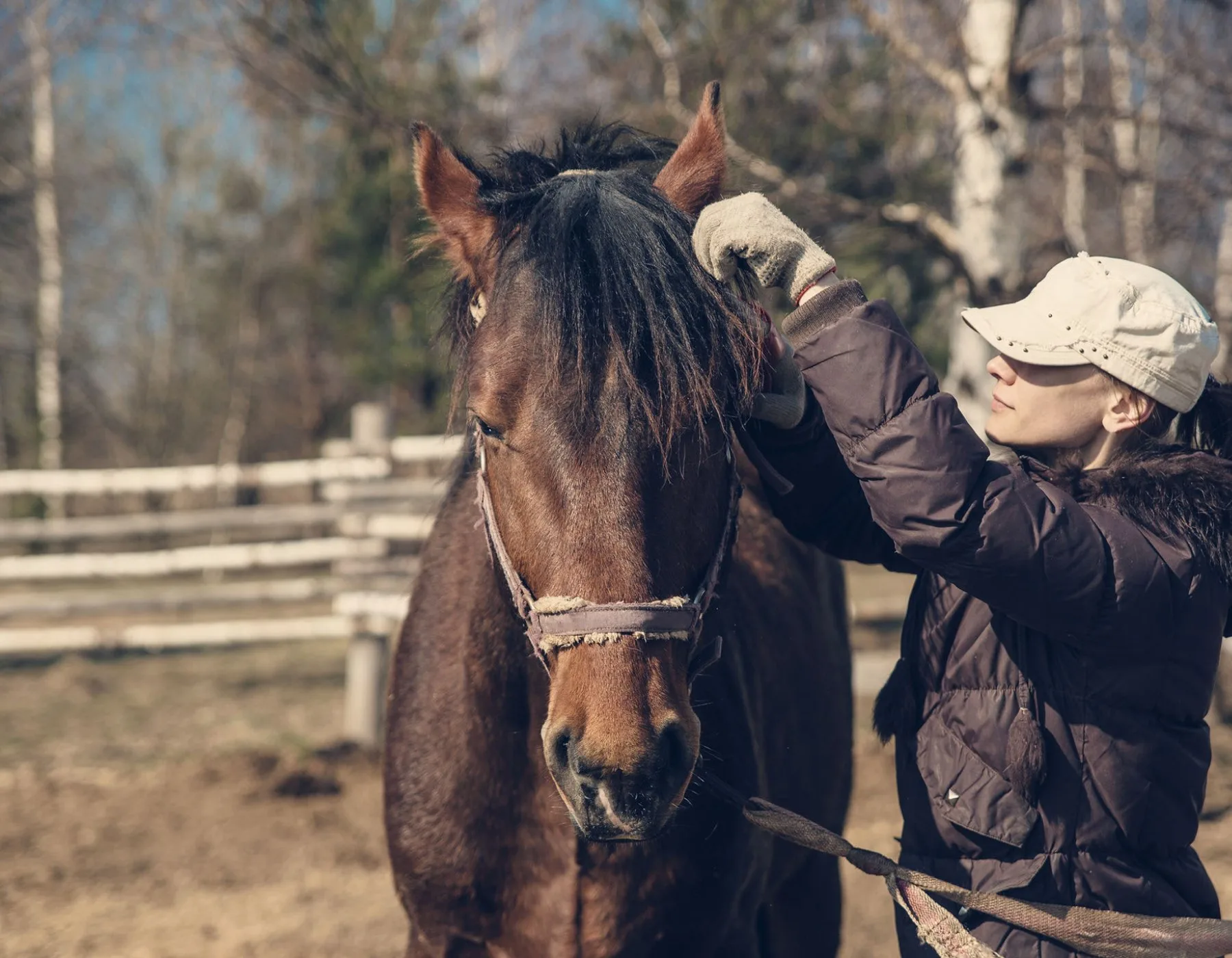 horse tail grooming ideas