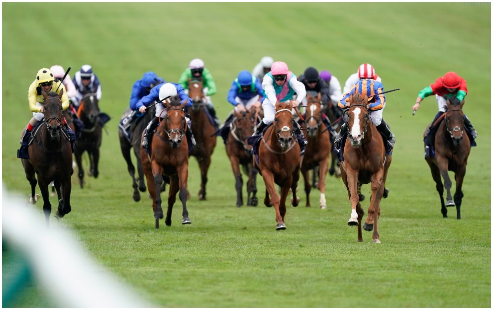 how much is 1000 guineas 0009
