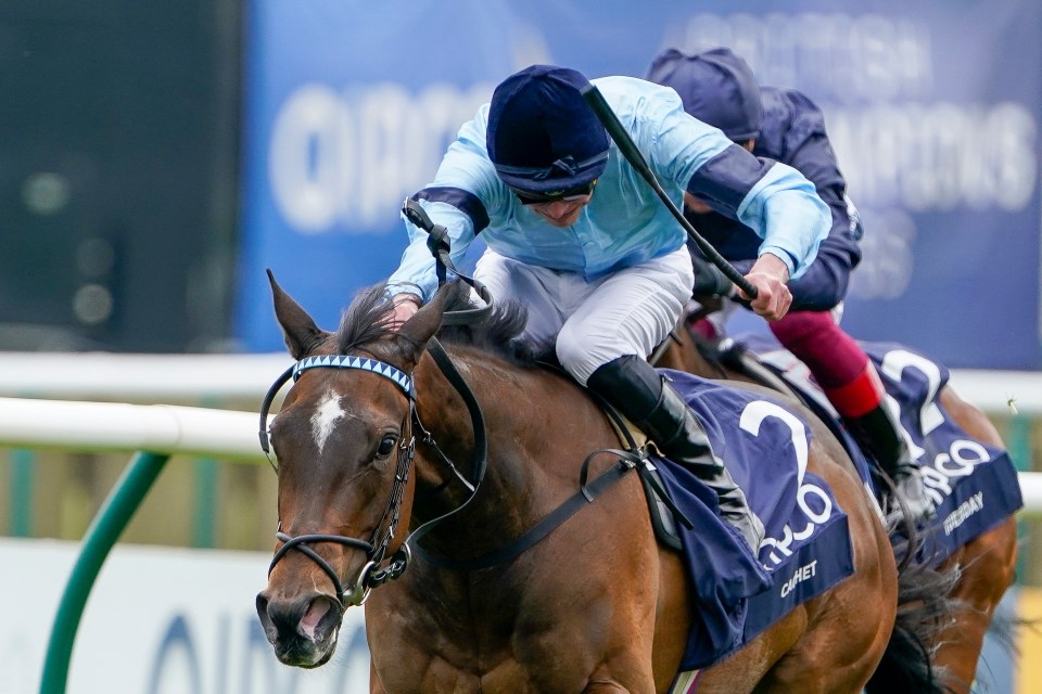 how much is 1000 guineas 0011