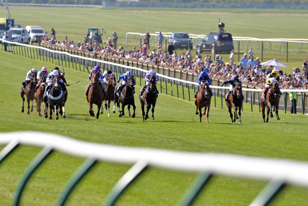 how much is 1000 guineas 0012