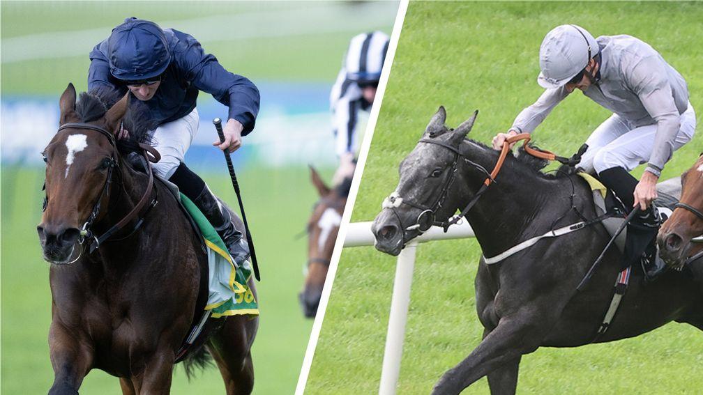 how much is 1000 guineas 0013