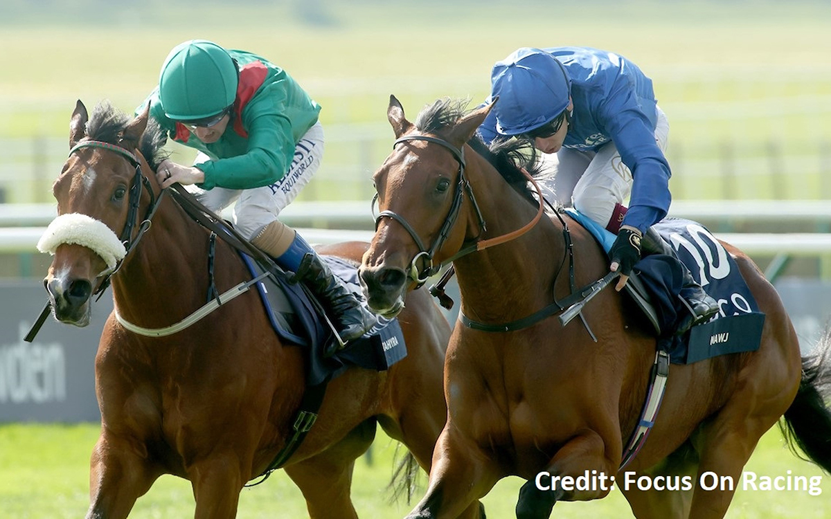 how much is 1000 guineas 0016