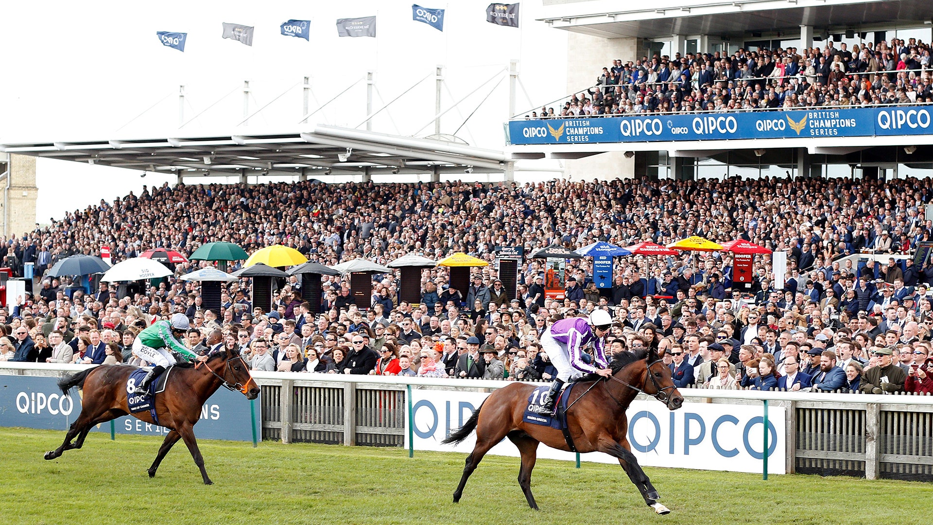 how much is 1000 guineas 0019