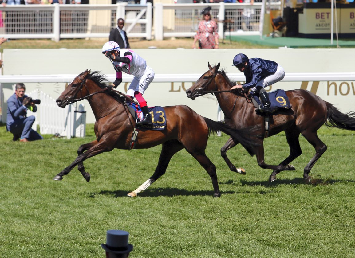 how much is 1000 guineas 0020