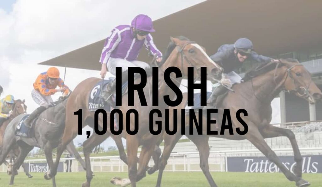 how much is 1000 guineas 0021