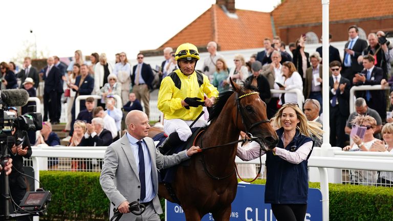 how much is 1000 guineas 0023