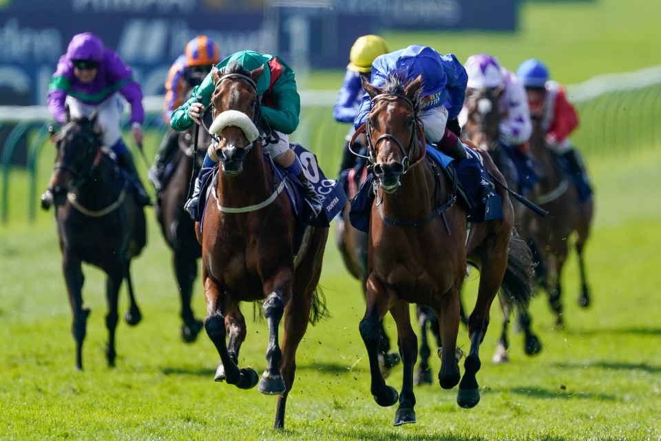 how much is 1000 guineas 0024