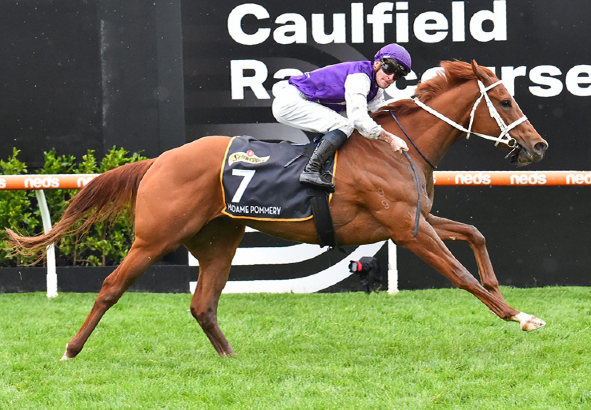 how much is 1000 guineas 0027