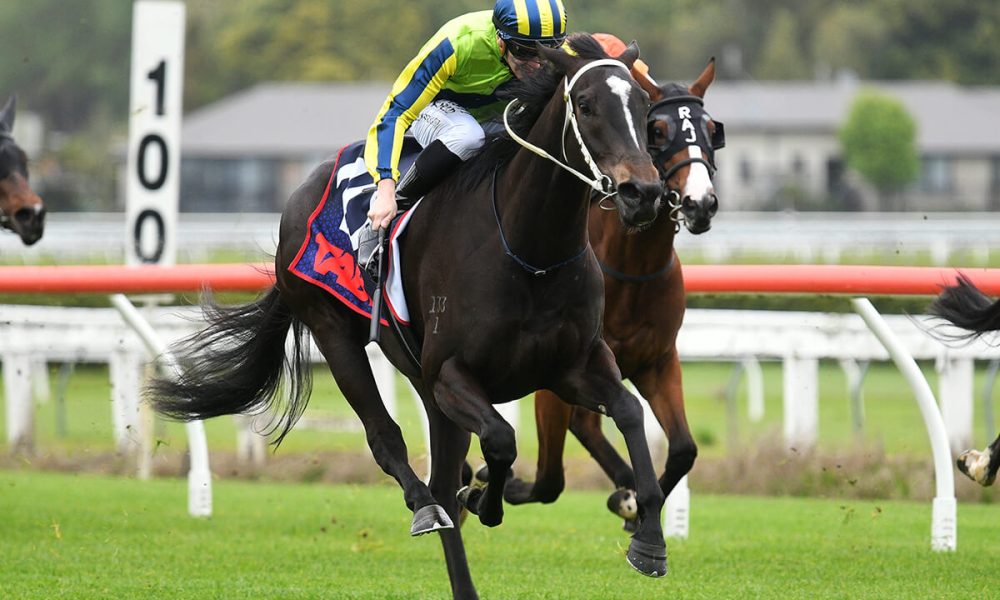 how much is 1000 guineas 0028