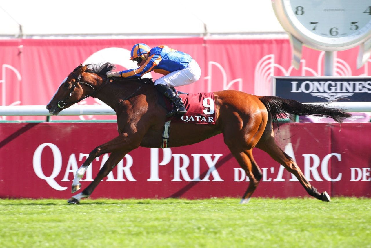 how much is 1000 guineas 0029