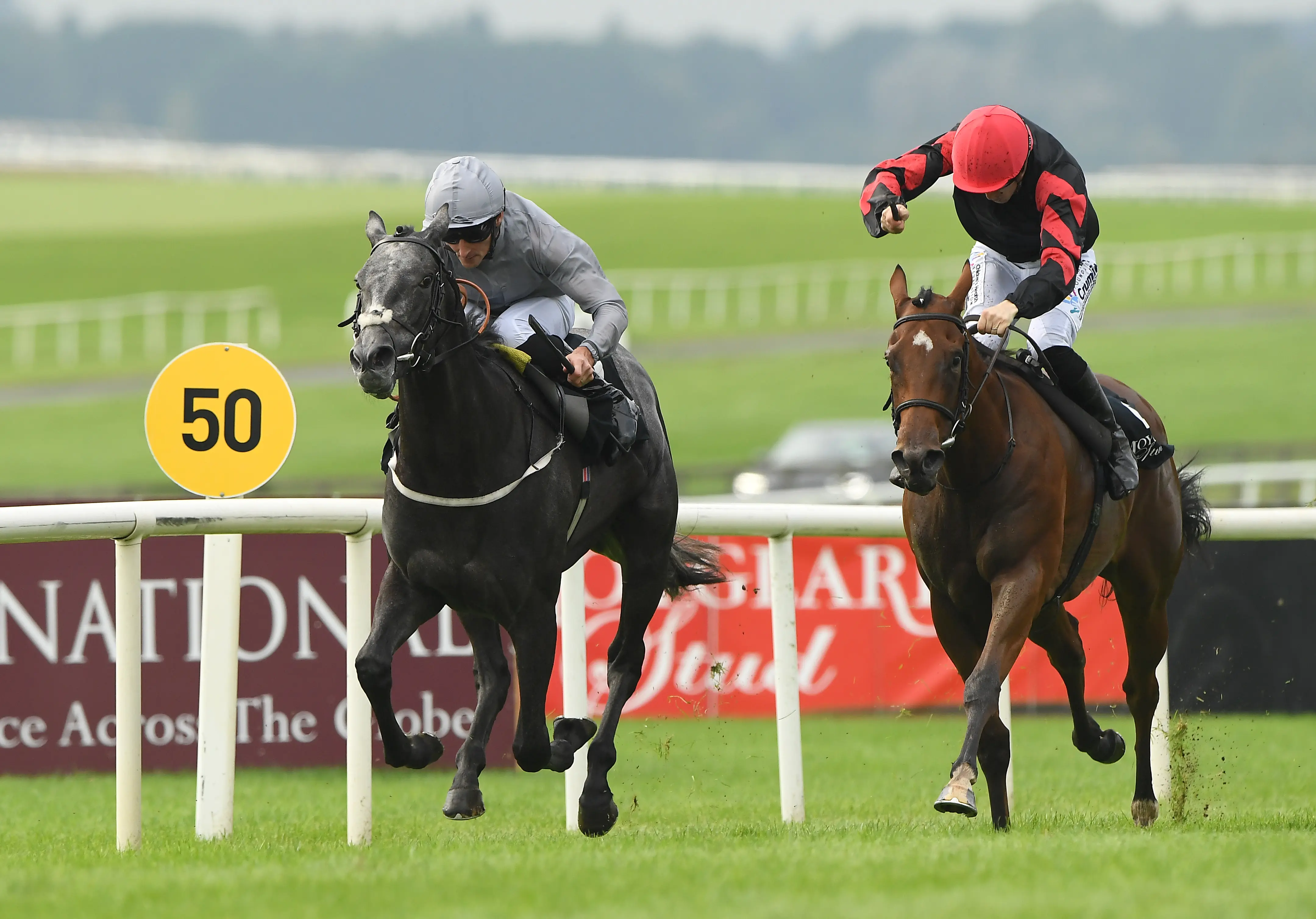 how much is 1000 guineas 0030