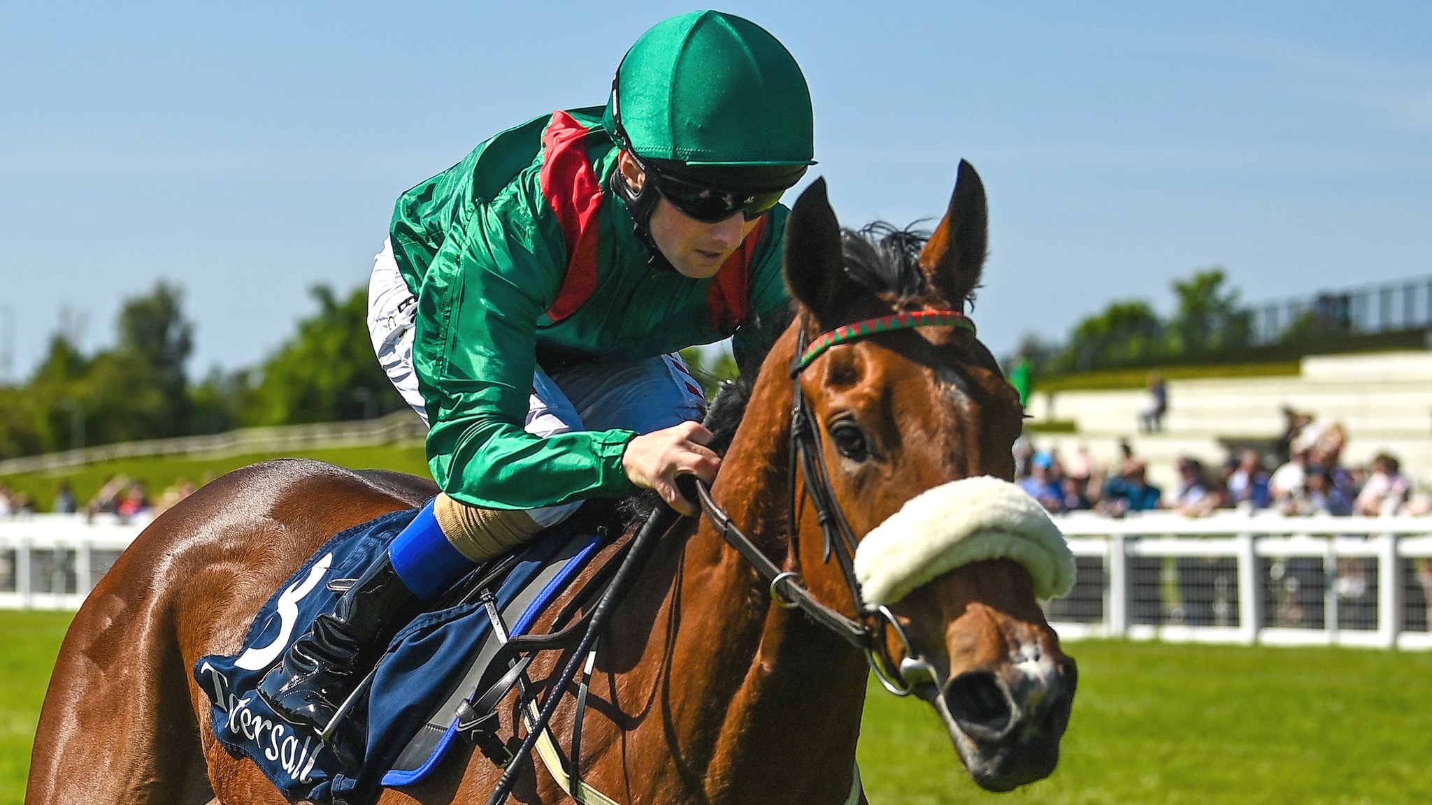 how much is 1000 guineas 0031