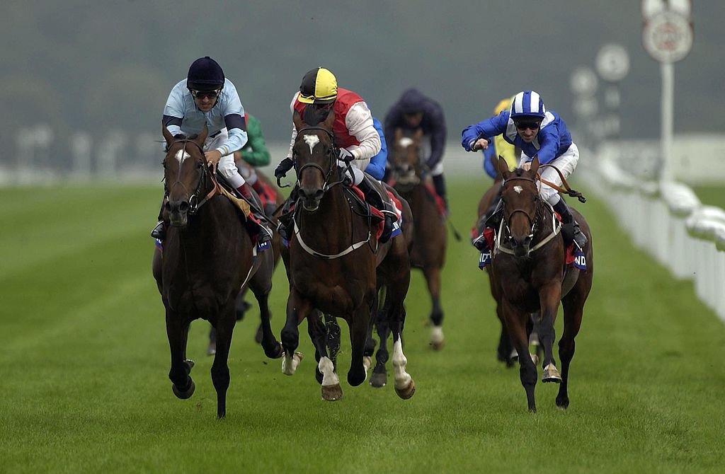 how much is 1000 guineas 0032