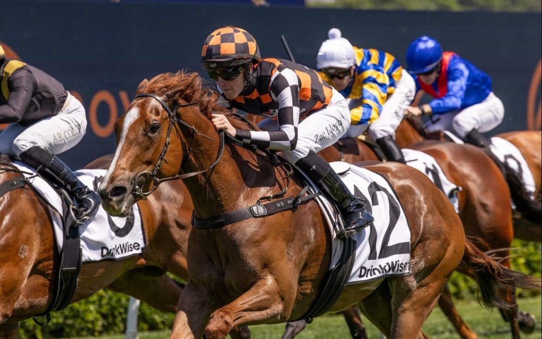 how much is 1000 guineas 0033