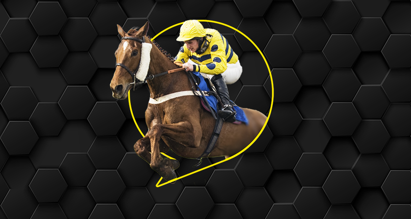 how much is 1000 guineas 0035