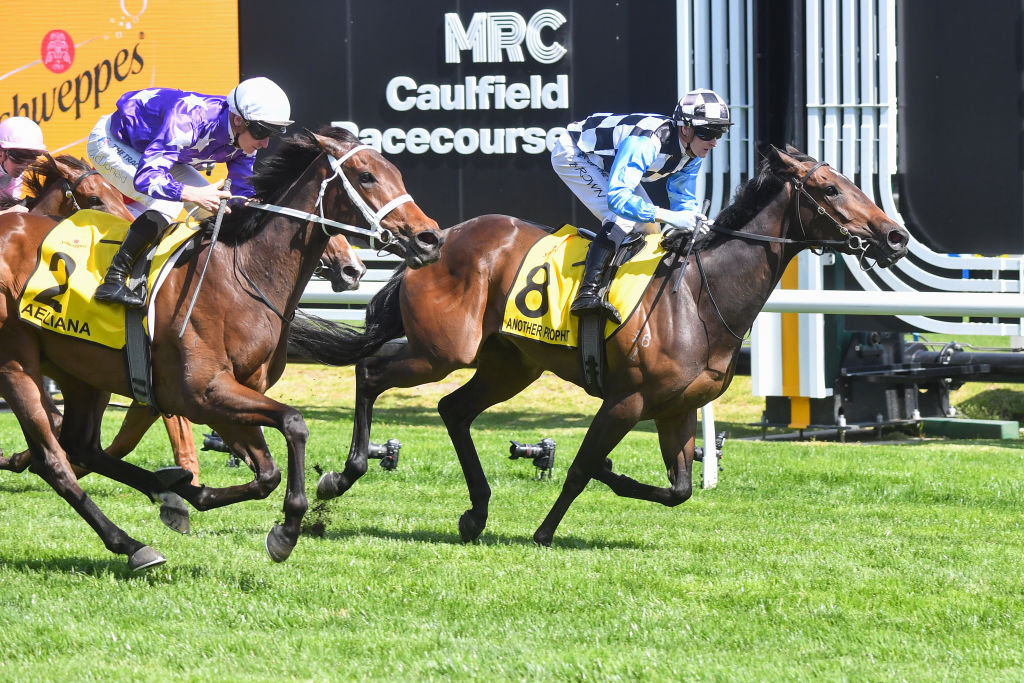 how much is 1000 guineas 0036