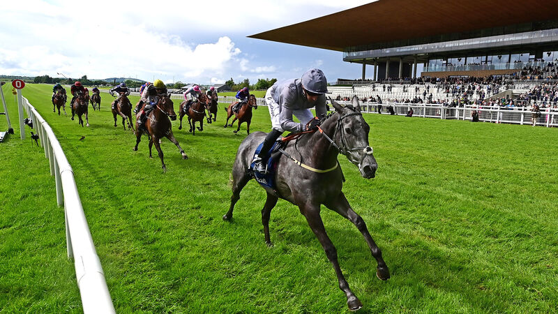 how much is 1000 guineas 0040