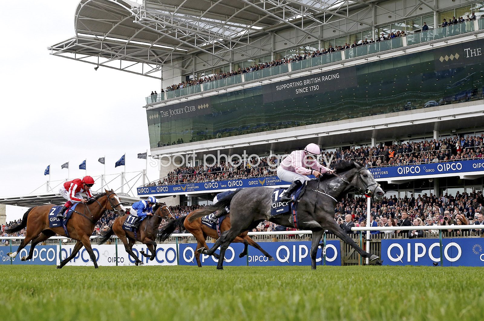 how much is 1000 guineas 0041