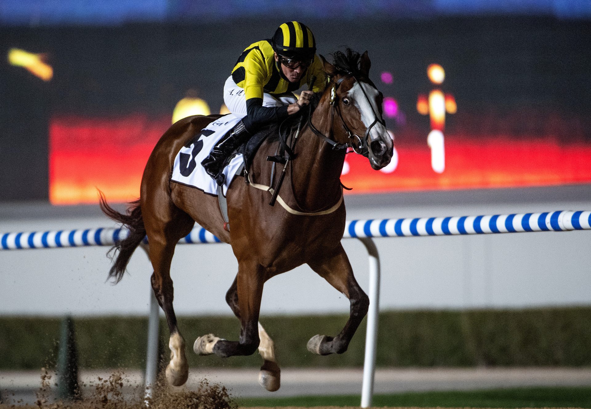 how much is 1000 guineas 0043