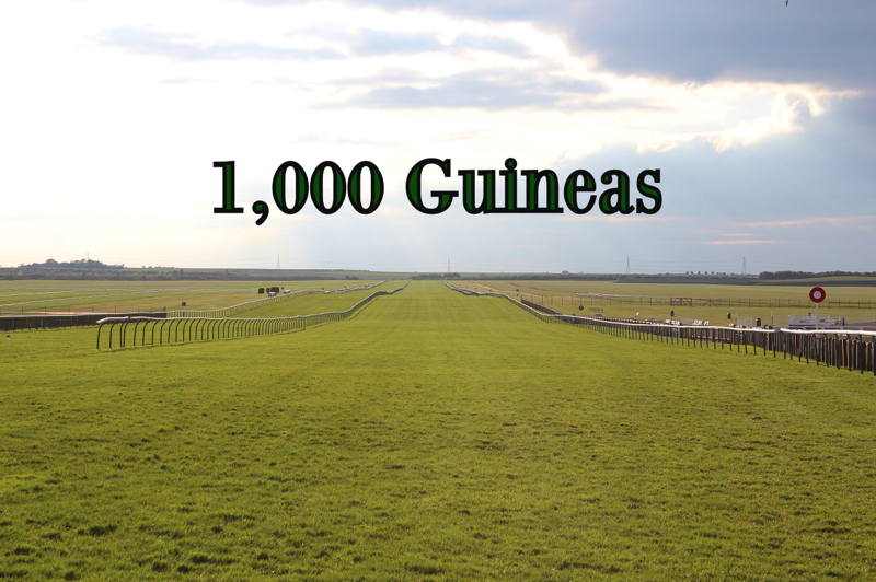 how much is 1000 guineas 0046