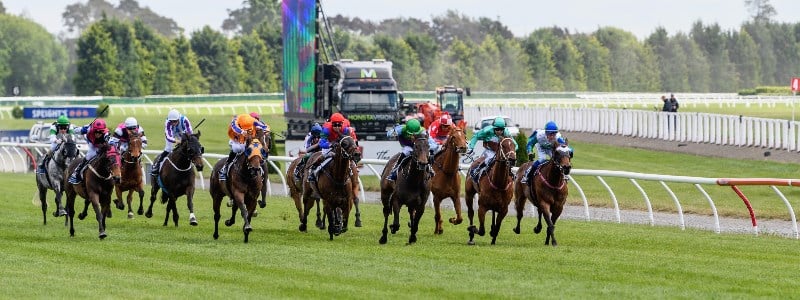 how much is 1000 guineas 0047