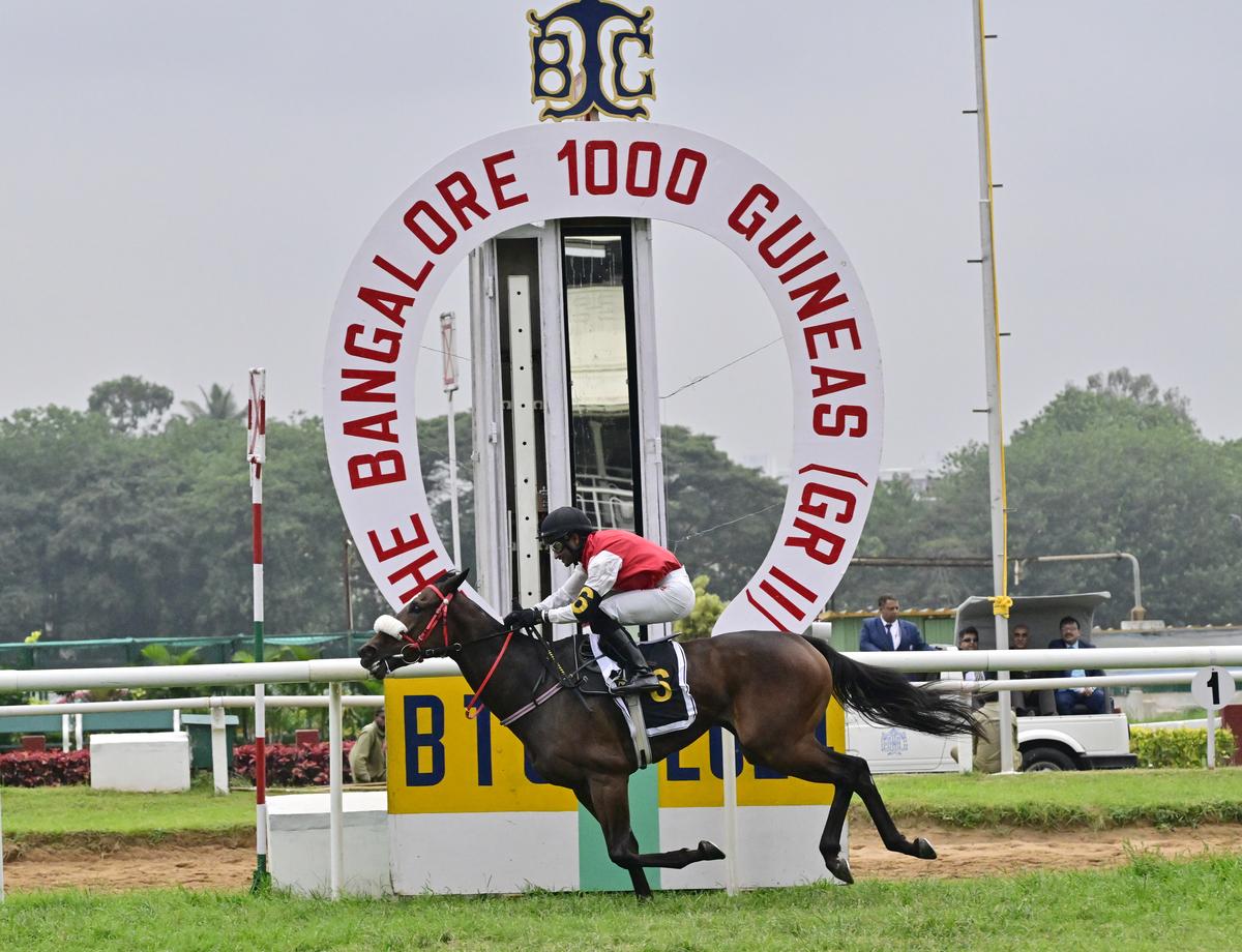 how much is 1000 guineas 0048