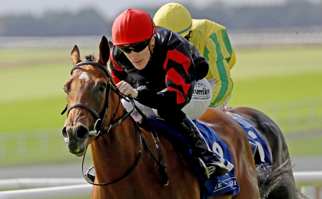 how much is 1000 guineas 0049