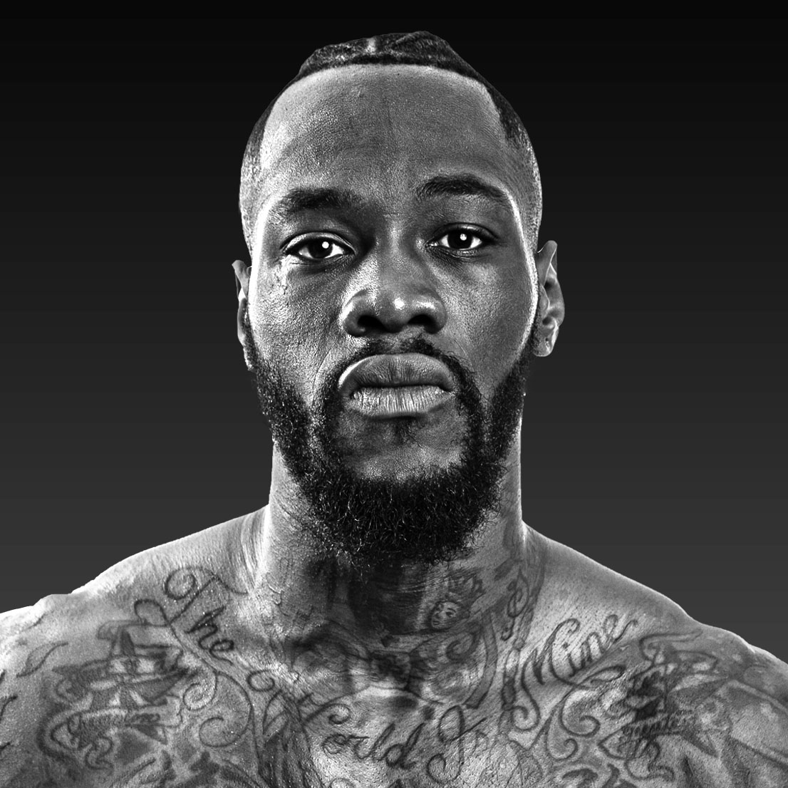 how tall is deontay wilder 0017