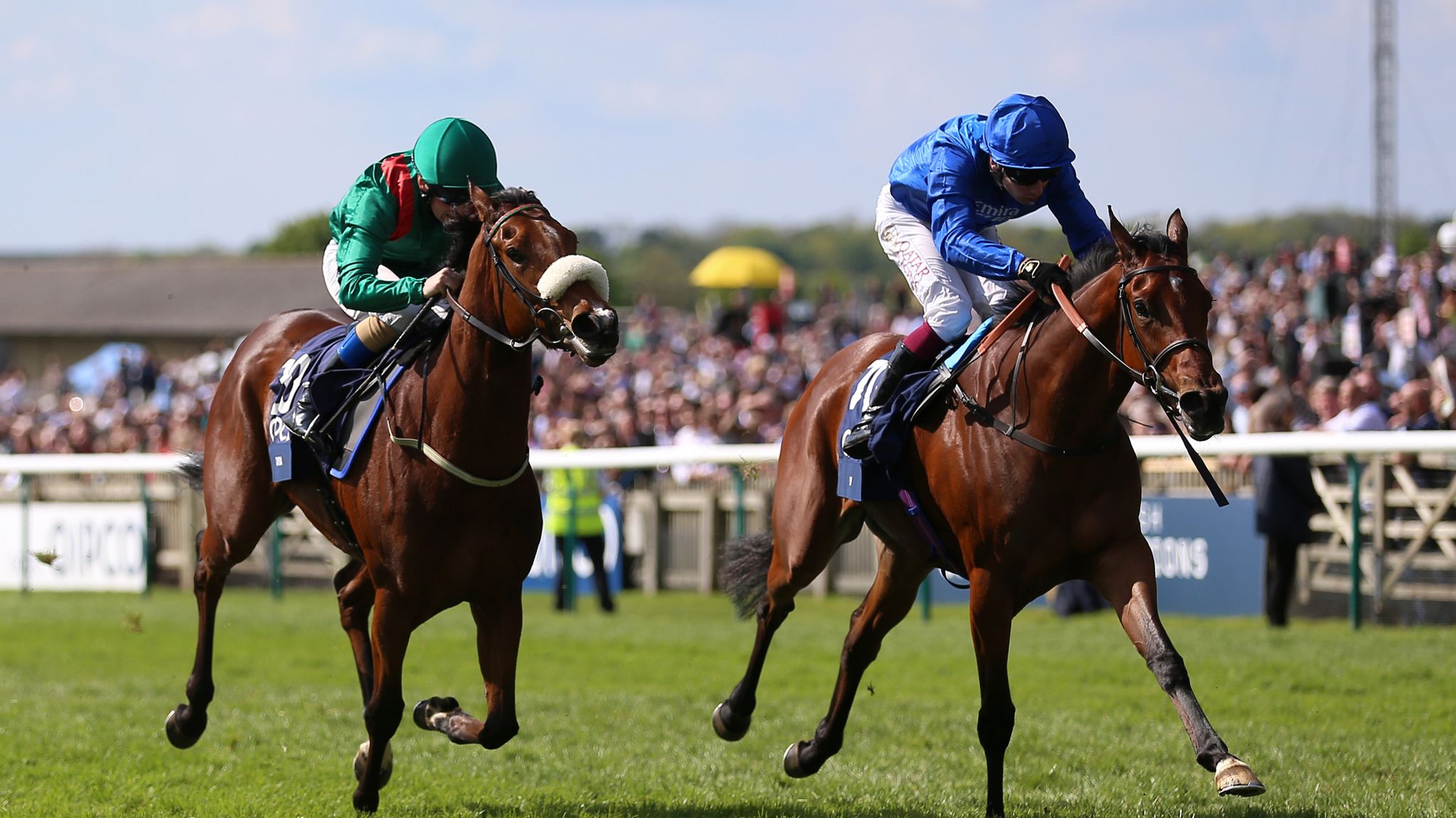 How to calculate guineas