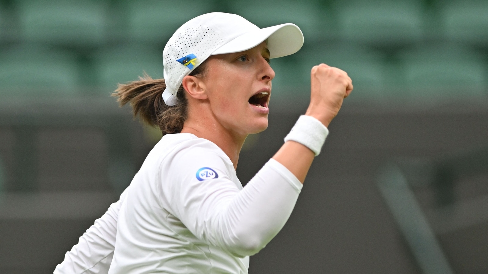 Iga Swiatek Wimbledon performance