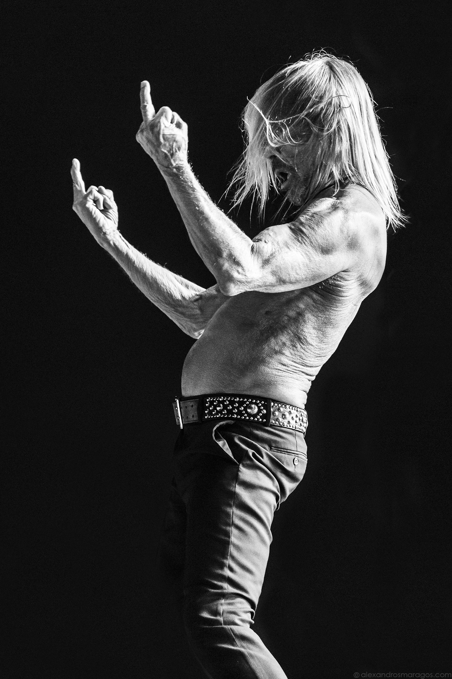 Iggy Pop desktop wallpapers