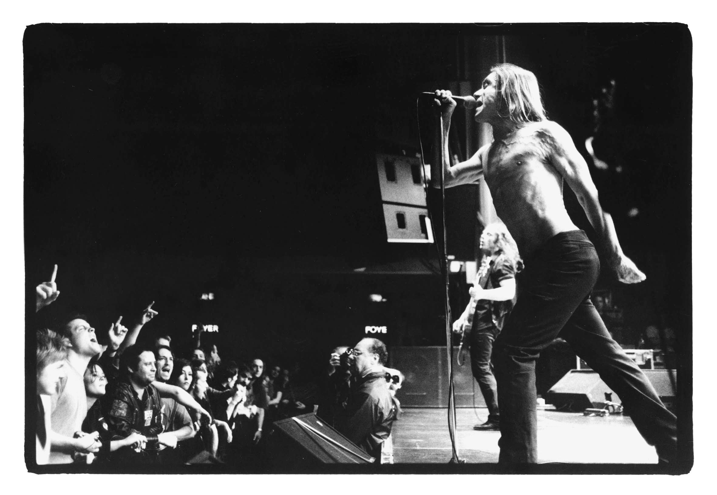 iggy pop wallpapers 0012
