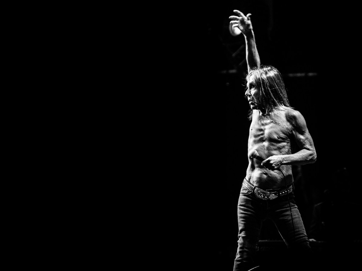 iggy pop wallpapers 0014