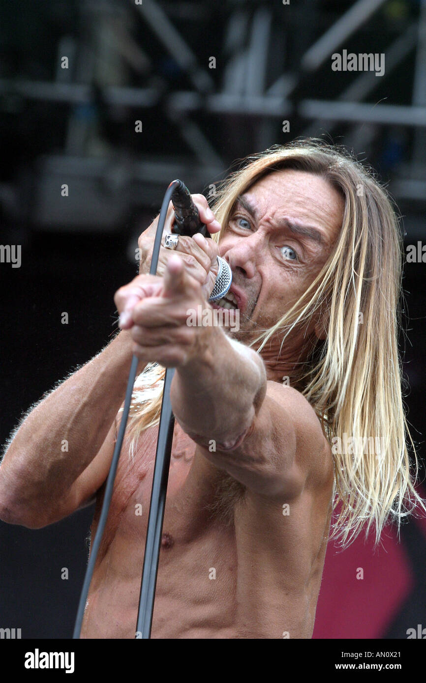 iggy pop wallpapers 0015