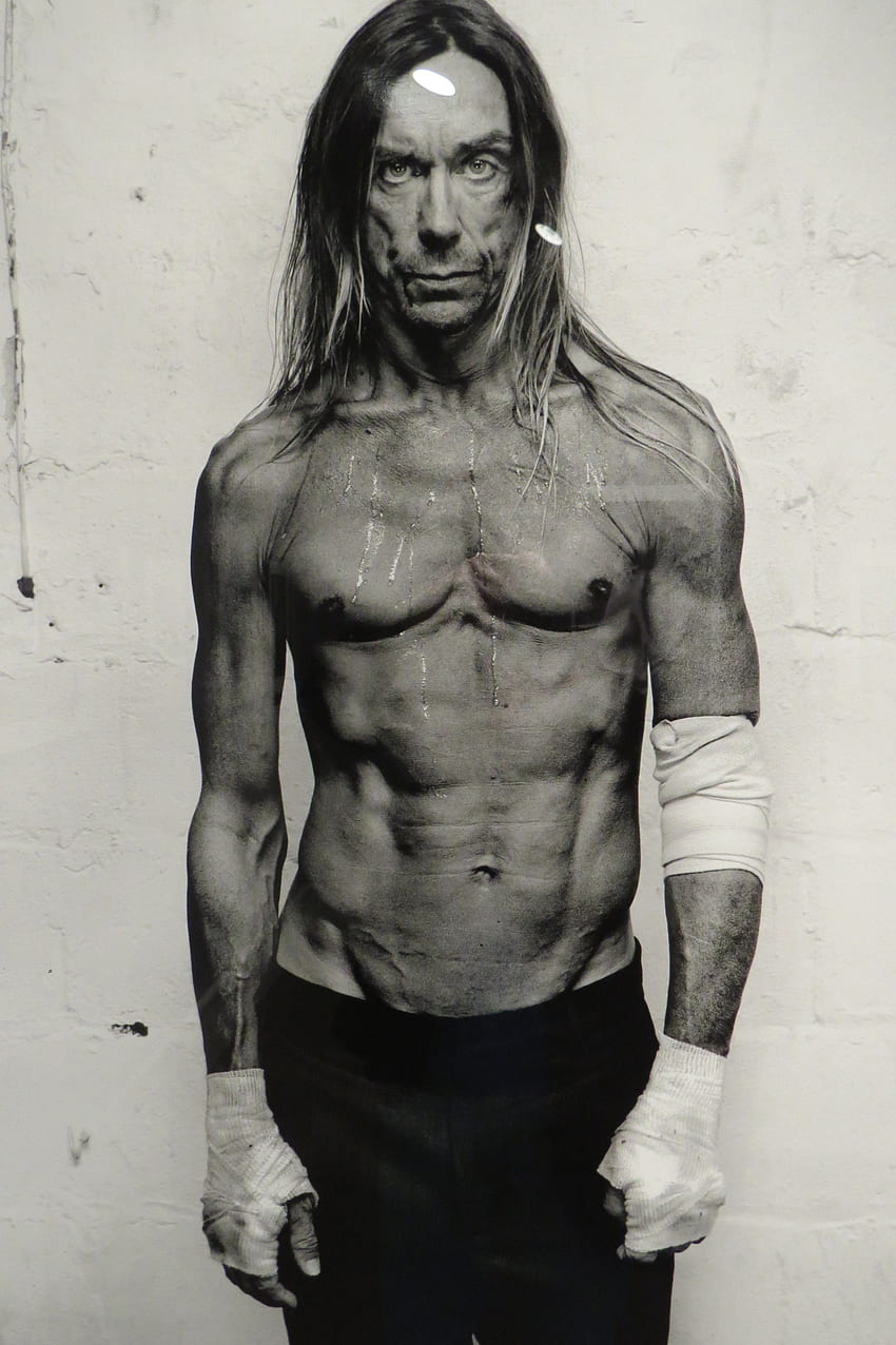 iggy pop wallpapers 0016