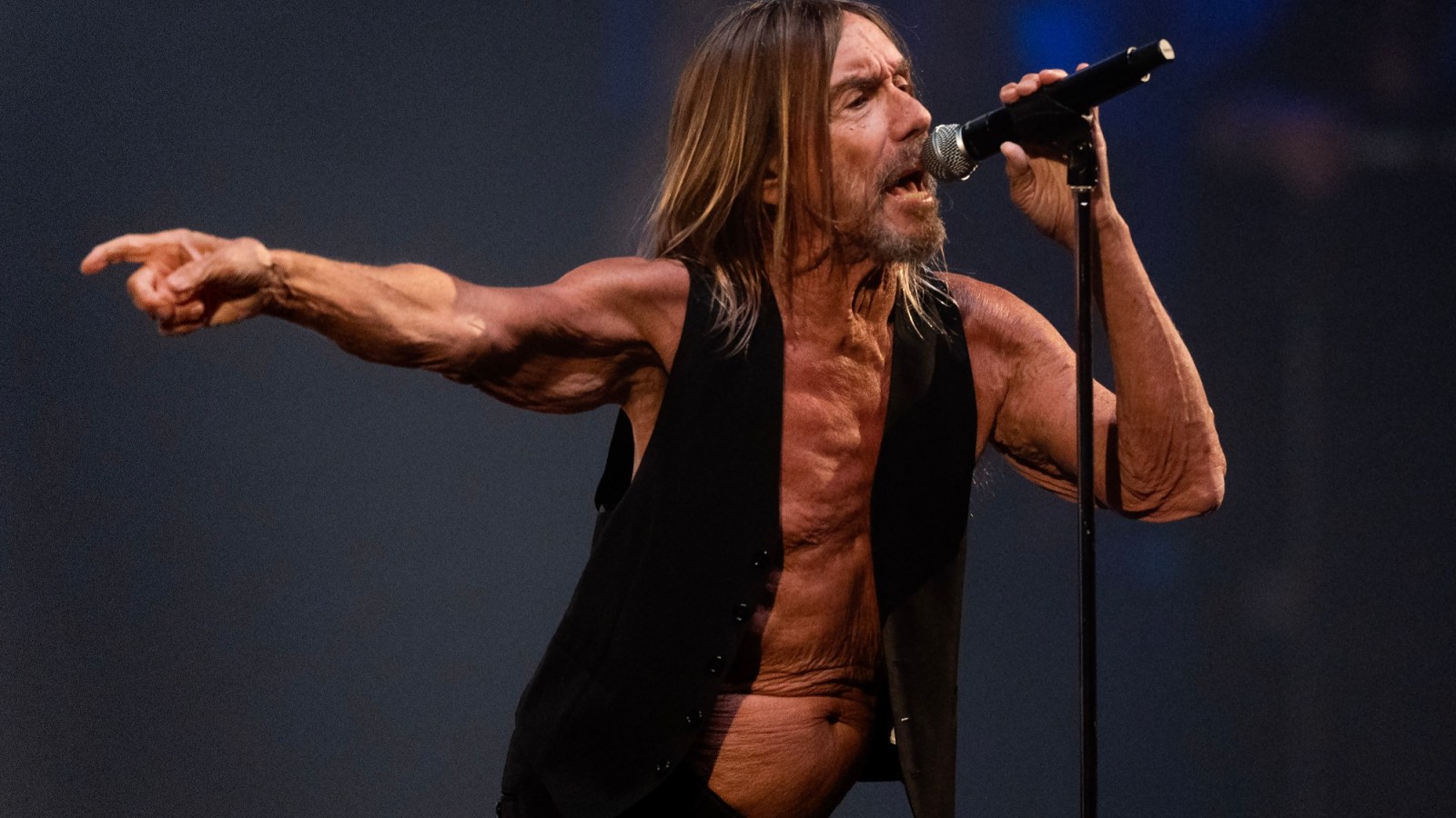 iggy pop wallpapers 0024